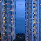 Illustration for article titled My Favorite Time of the Day Is When the Entire City Turns Blue
